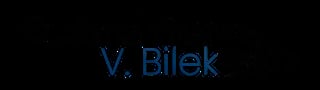 V. Bilek Gutachter Logo